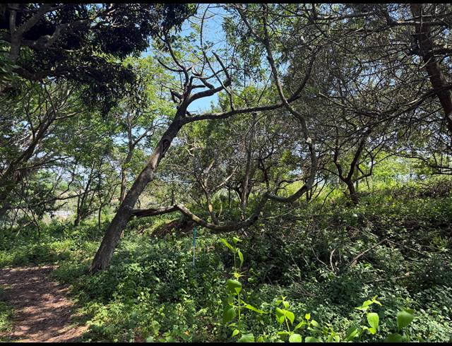 2,520M² VACANT LAND FOR SALE IN SEATON ESTATE